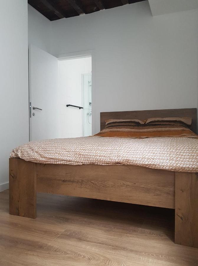 Al In Den Aap Gelogeerd? Apartment Мехелен Екстериор снимка